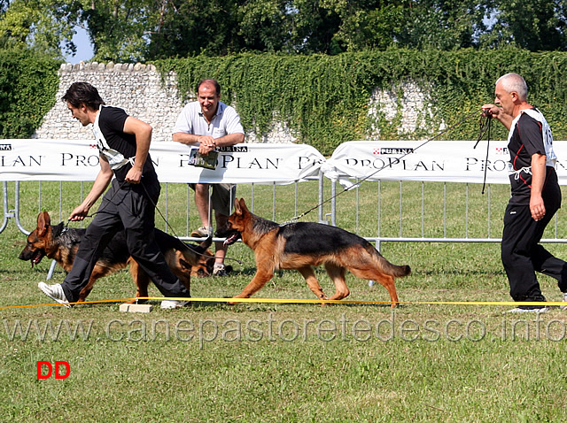 brad-di-ca-san-marco-e-bred-di casa-vizzato-.jpg - Juniores maschi Brad di Ca' San Marco e Bred di Casa Vizzato